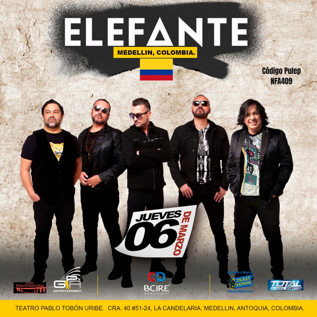 6. ELEFANTE