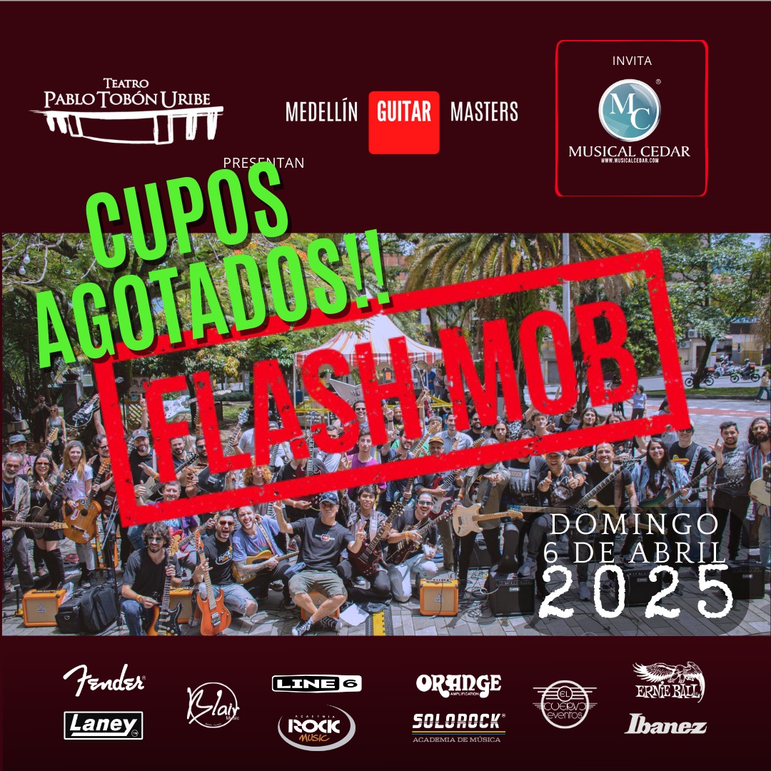 6. FLASHMOB GUITARRA