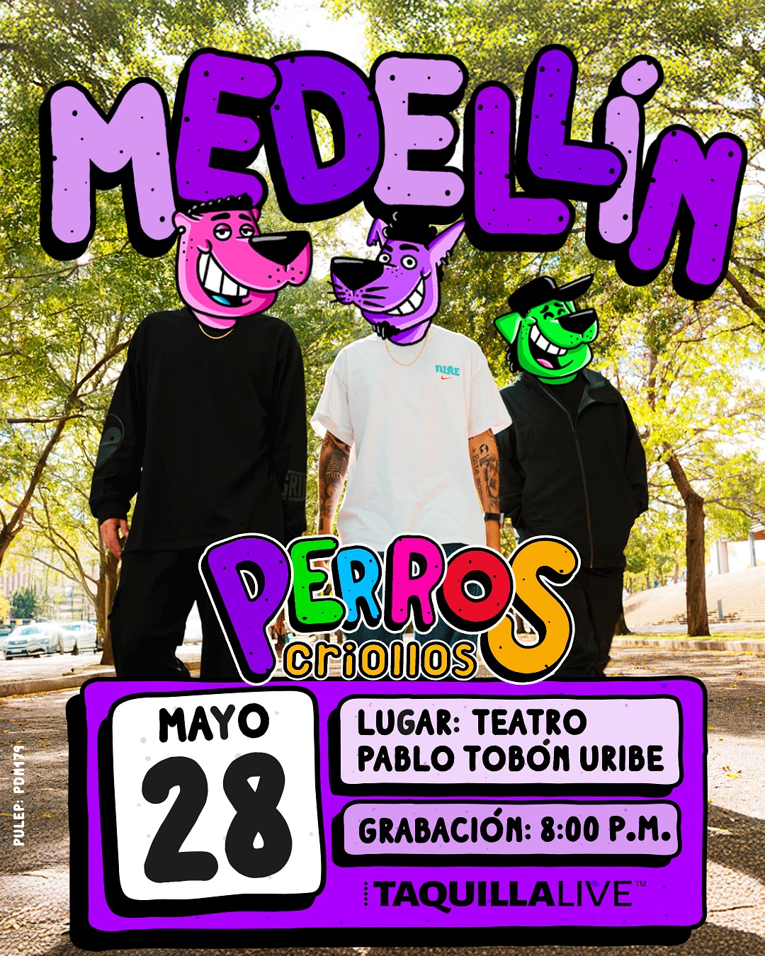 28. PERROS CRIOLLOS