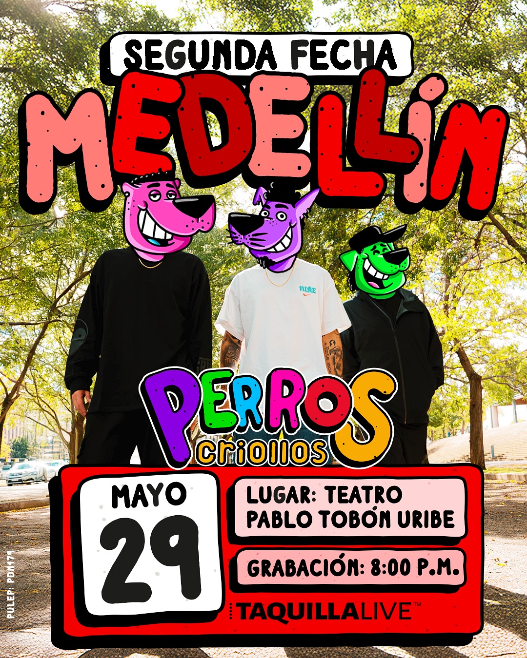 29. PERROS CRIOLLOS