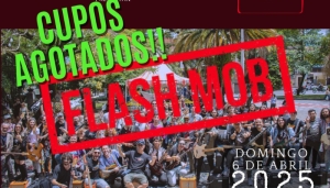 Flashmob - Guitar Masters